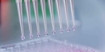 Urgent action must be taken to improve the chances of those with less survivable cancers