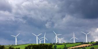 The government needs a hard-headed approach to green growth