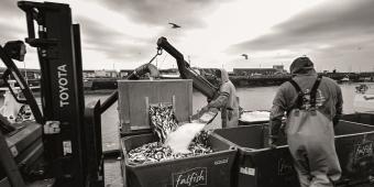 Our fishermen cannot afford another disastrous deal