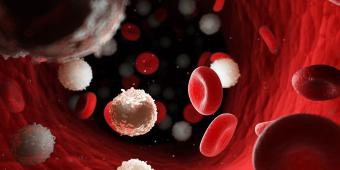 Spotlighting the hidden challenges facing people living with blood cancer