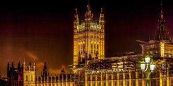 The Committee on Standards is a unique House of Commons select committee