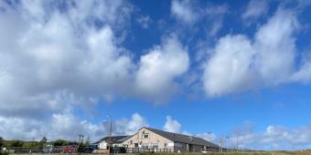 How a legal row about Lady Tarkina Snow Fire landed me in a Hebridean doghouse