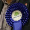 Conservatives Kick Off Search For London Mayor Candidate