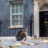 Downing Street To Host Regular Government Briefings For MP Staff