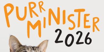 Purr Minister is back – as Battersea puts the emphasis on cat welfare