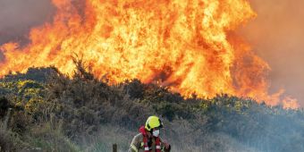 Heatwaves Are Now Routine – So, How Are We Going To Adapt?