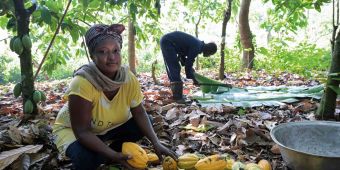 'Powerful': Baroness Bennett reviews: 'Peasants: Makers of the Modern World'