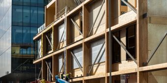 How we can build a sustainable future with timber