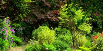 House of Lords Inquiry “significant step in acknowledging importance of Environmental Horticulture”