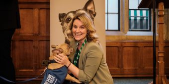 Bringing Battersea to the new Parliament