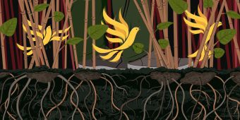 Ed Davey Urges His MPs To Become Knotweed – But Frustrations Grow Over '72 By-Elections' Strategy