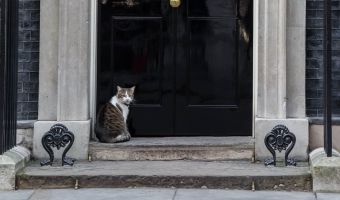 Will Larry the cat be celebrating bold new laws for animals at the Queen's Speech?