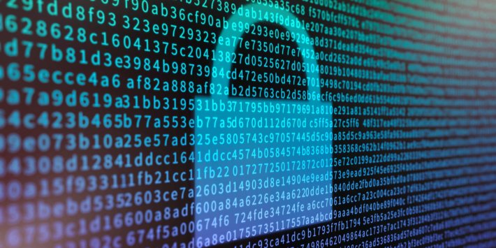 The Online Safety Bill puts the security of all citizens and communities at risk