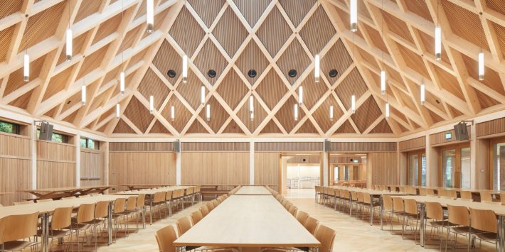 Politics Home Article | Timber holds the key to take on embodied carbon ...