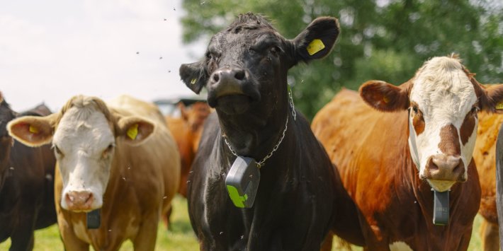 Politics Home Article Modernising Farm Infrastructure With Virtual