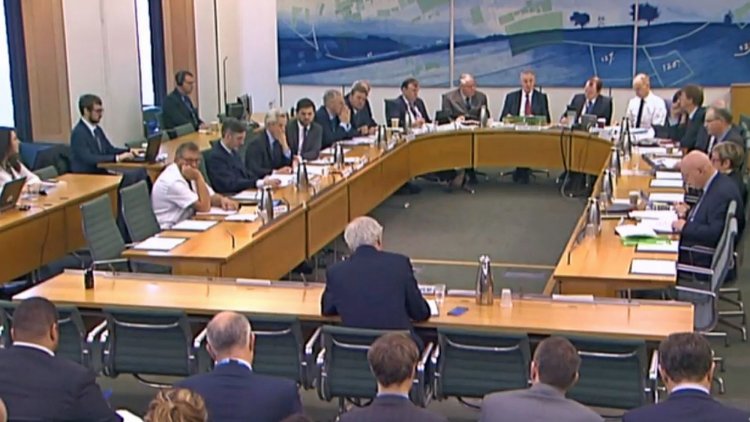 How did the Exiting the European Union Committee contribute to the wider Brexit process?