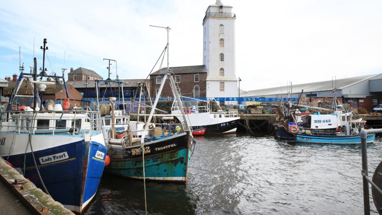 Ministers are ignoring the political reality of post-Brexit fisheries negotiations