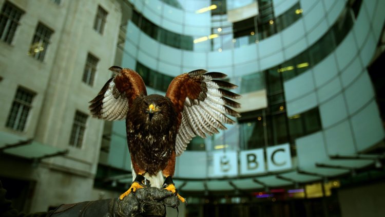 Revealed: the inside story of the explosive BBC Newsnight report into bullying and harassment in Westminster