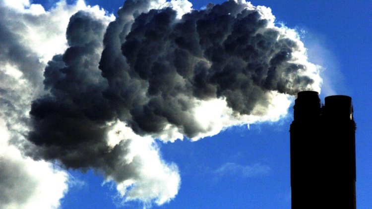 Let’s ‘build back greener’ with a new carbon tax