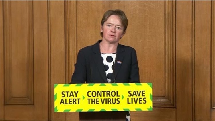 Dido Harding Has Been Asked By MPs To Reveal The Evidence Behind Pub Closures