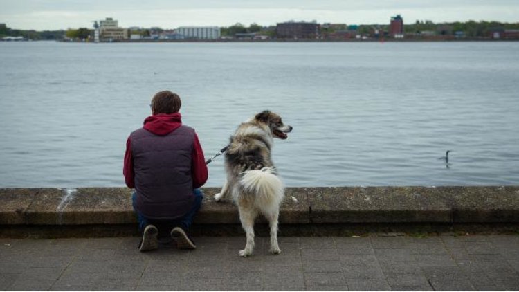 Cruel 'no pets' policies on rented accommodation are exacerbating loneliness