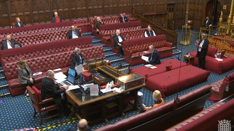 Post-Brexit Lords committee reforms will mean a cross-departmental, forward thinking approach to scrutiny