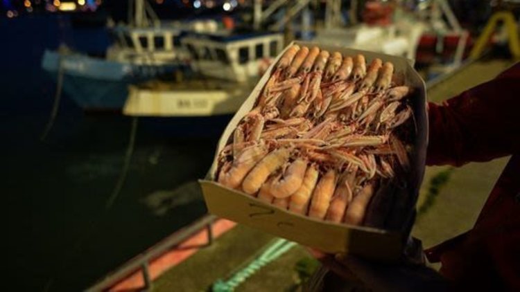 Scottish Fish Traders Say Brexit Is Costing Them Over £1m A Day And Want The Government To Pay Them Back