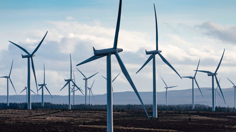 Funding Net Zero: how investment can unleash a green revolution