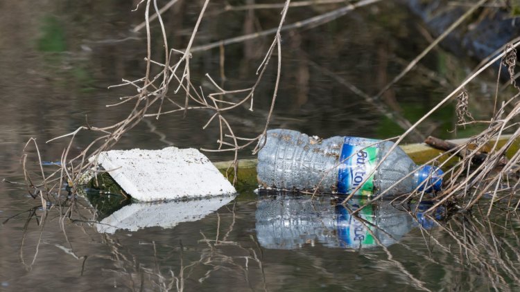 Government must fix huge flaws in the Environment Bill