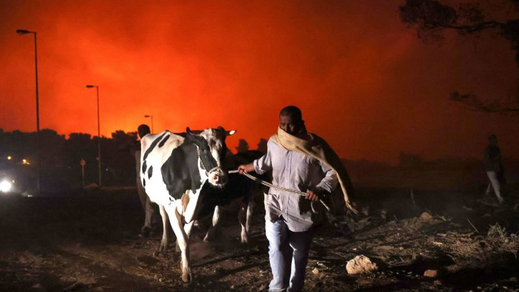 Our climate is at crisis point – the UK must go further and faster than net zero by 2050