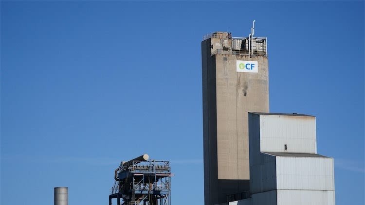 No.10 Signals CO2 Plant Funding Could Be Extended To Avoid Winter Crisis