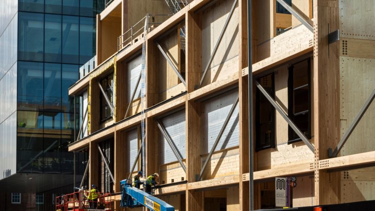 How we can build a sustainable future with timber