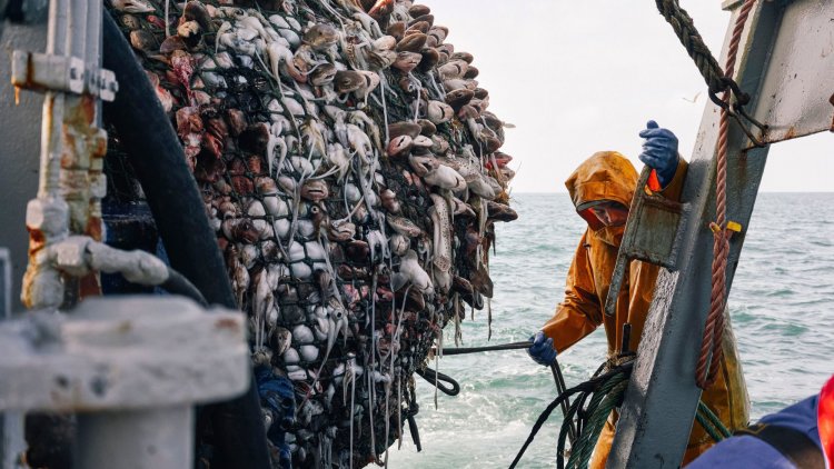 A fair deal on fish quotas is essential for the future of many fishing businesses