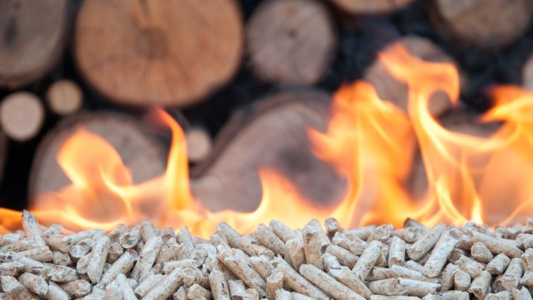 If Boris Johnson is serious about ending global deforestation, the UK must stop subsidising the burning of trees for energy