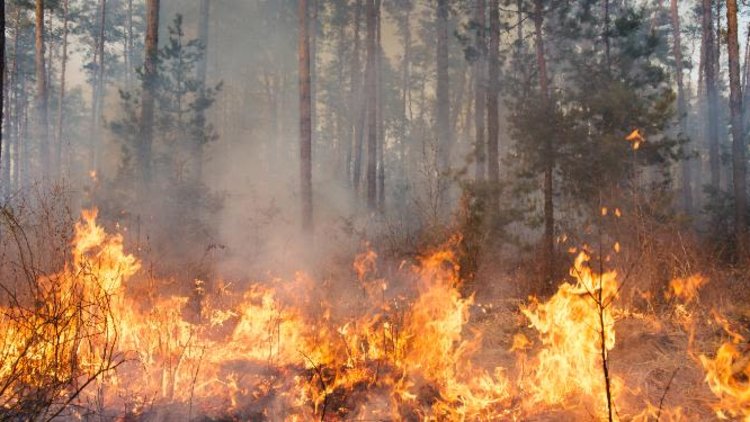 LISTEN: Strengthening our climate resilience
