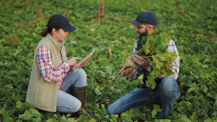 We need to take action on regulation and R&D to realise the potential of our homegrown crops