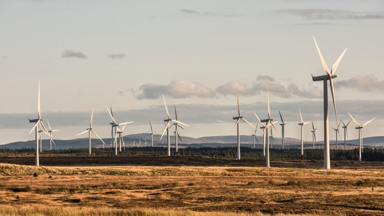 Lord Bridges: We'll all pay the price of a disorderly transition to net zero