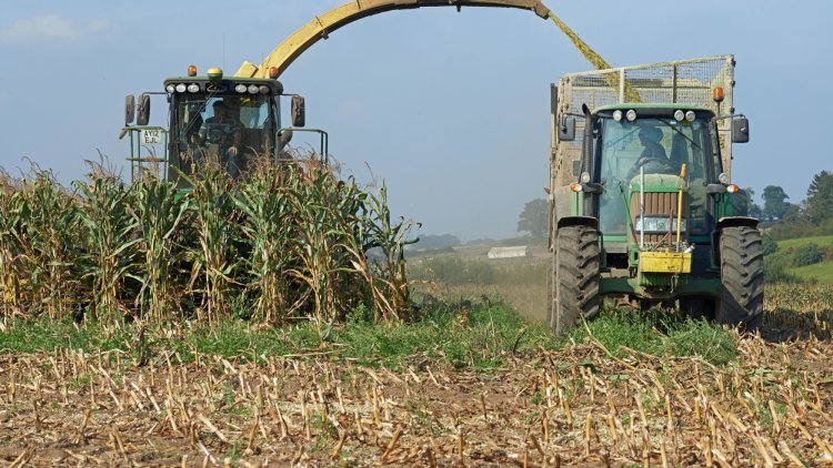 Robert Largan: We must cut our use of biofuels to tackle rocketing global food prices