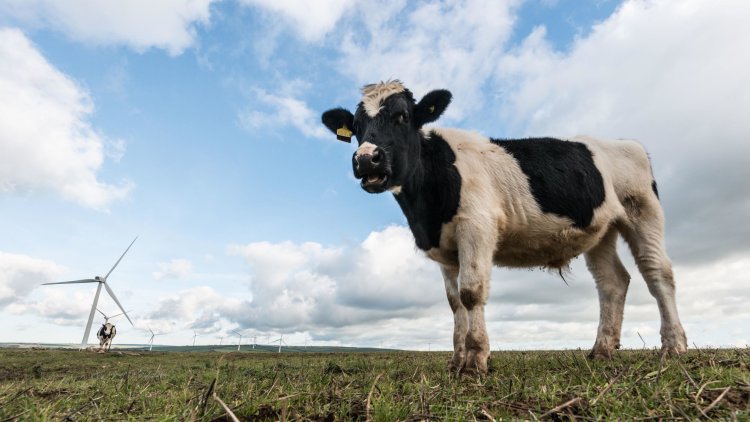 Selaine Saxby: The next prime minister must level up our countryside to retain the trust of rural communities