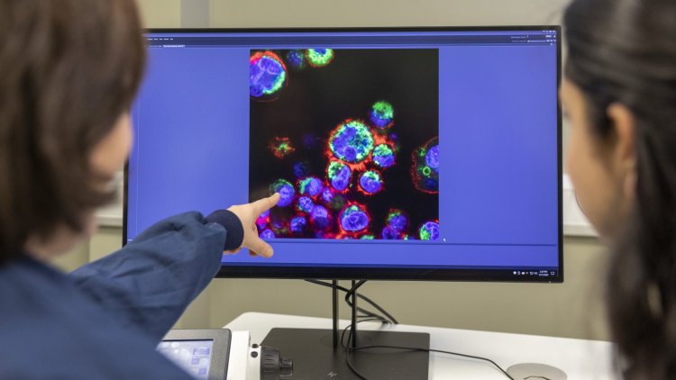 Medicines Discovery Catapult and ZEISS Set Sights on Advancing Microscopy