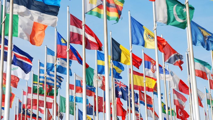 Veterans Aid CEO to take up new role on the international stage