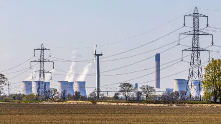 It’s time to ditch biomass power in favour of cheaper renewables
