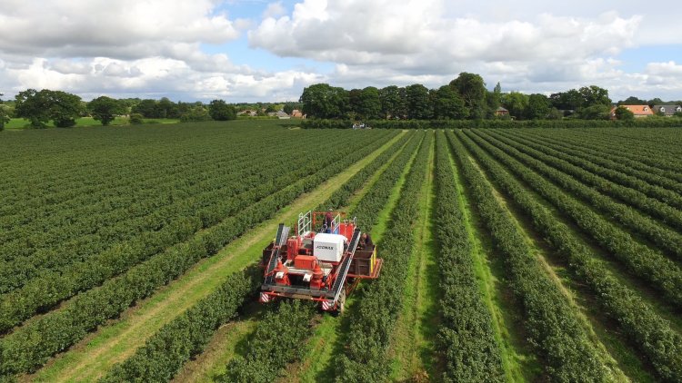 Protecting Wildlife, Protecting Nature: Why Biodiversity is Business as Usual for the Nation’s Fruit Farmers