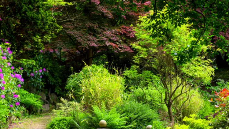 House of Lords Inquiry “significant step in acknowledging importance of Environmental Horticulture”