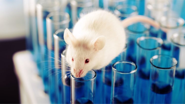 Cutting-edge science can protect humans, the environment – and animals