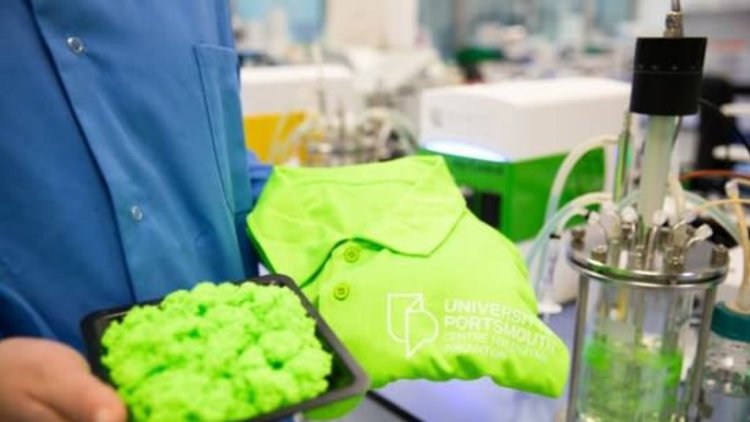 ‘Plastic-eating’ enzymes to be deployed to combat waste polyester clothing