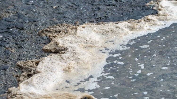 Water Company Bosses Banked Bonuses Despite High Levels Of Sewage Dumping