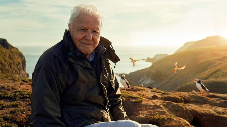 'Truly remarkable': Barry Gardiner reviews 'Wild Isles'