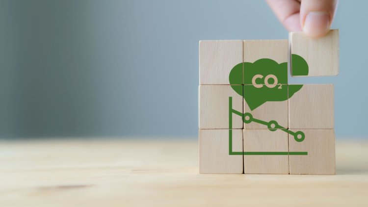 We should regulate the Voluntary Carbon Market