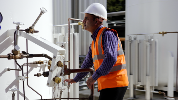 How universities are rising to the net-zero challenge